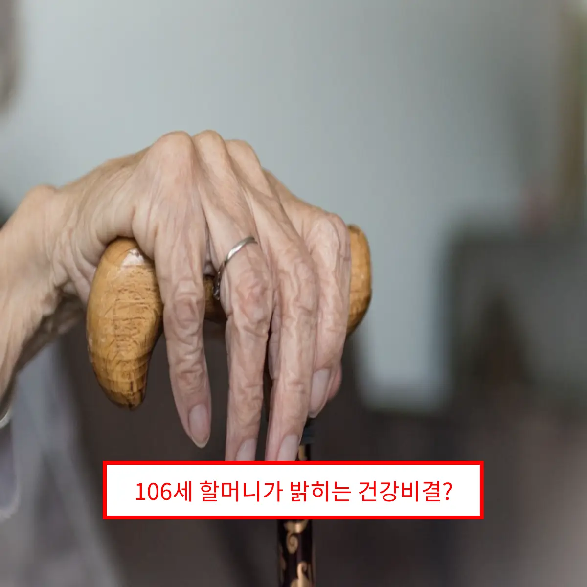 106세 할머니가 밝히는 건강비결... 오래살려면 채홍인 할머니처럼..